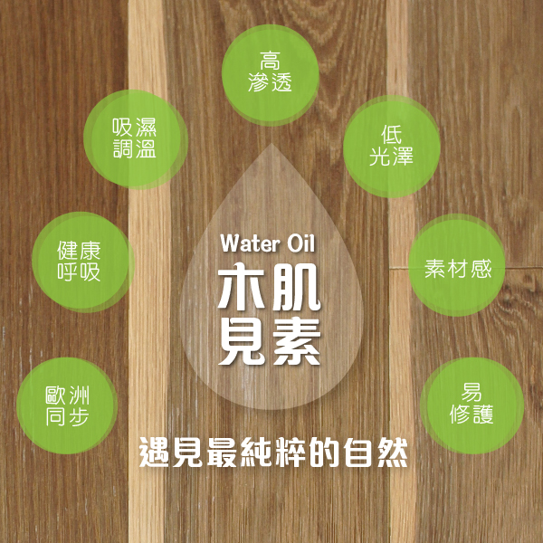 木肌見素的功能 木肌見素的優點