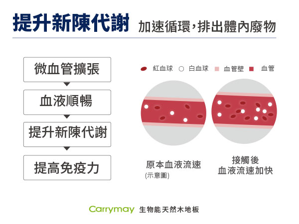 生物能促進血液循環|佳樂美木質地板 生物能促進血液循環|佳樂美木質地板