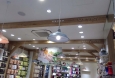 橡木|天然木飾板|天花板|佳樂美木地板