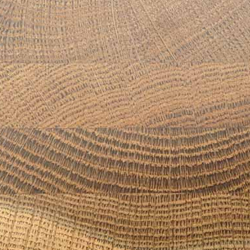 Smoked Oak-Widthways growthring <p>4.62inch/3mm</p>