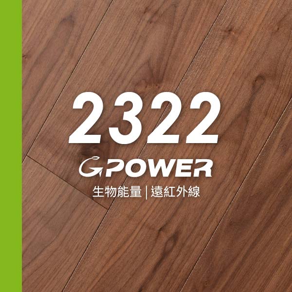 G-Power_2322系列<p>232mm x 13mm/2mm</p>