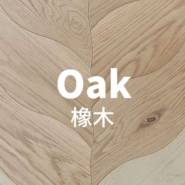 枝葉繁茂_歐洲橡木<p>自然印象</p>