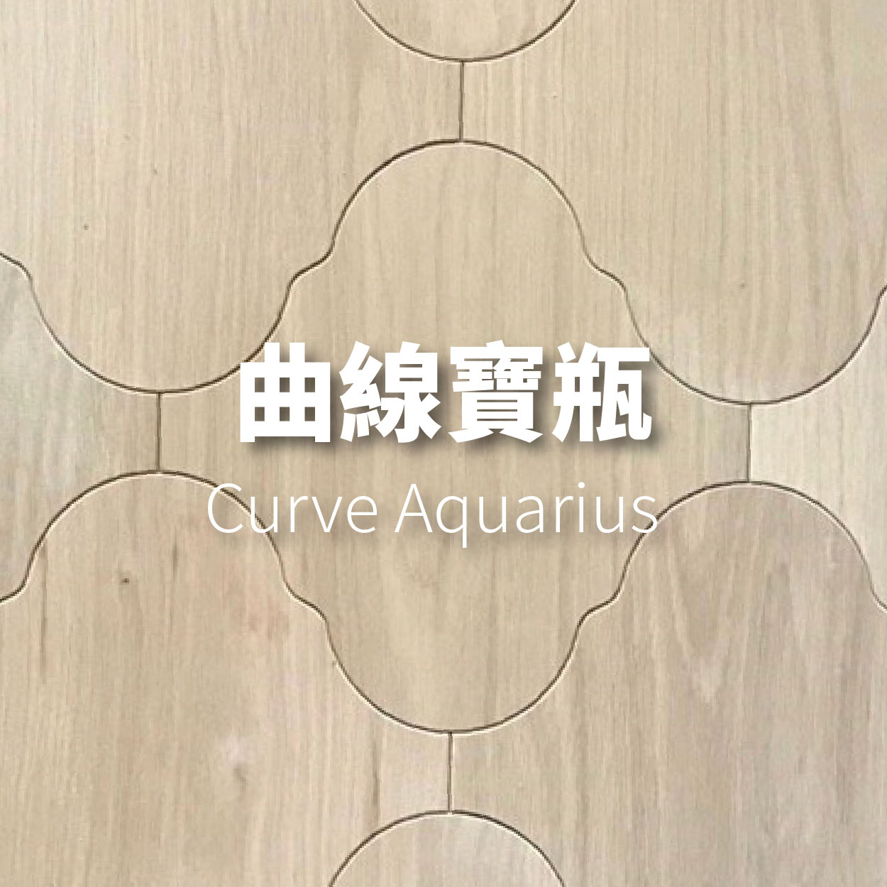 曲線寶瓶<p>Curve Aquarius</p>