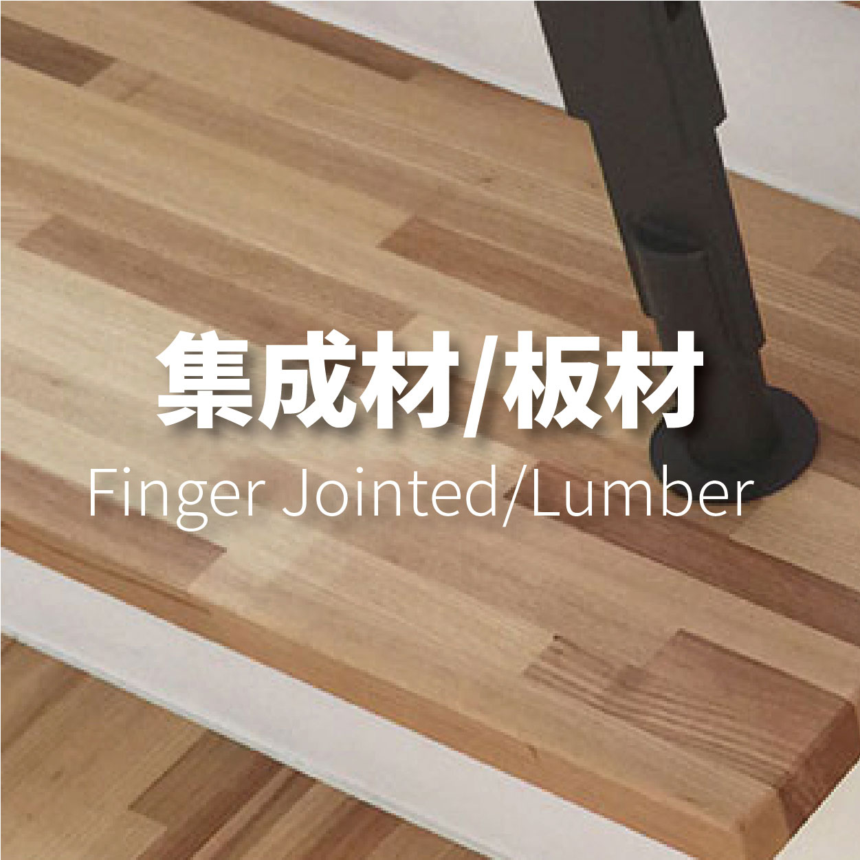 集成材/板材<p>Finger Jointed/Lumber</p>