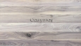 北美胡桃木-天然木飾板 白身素材 <p>4.1寸/6.4寸/1尺x8尺/1.5mm</p>
